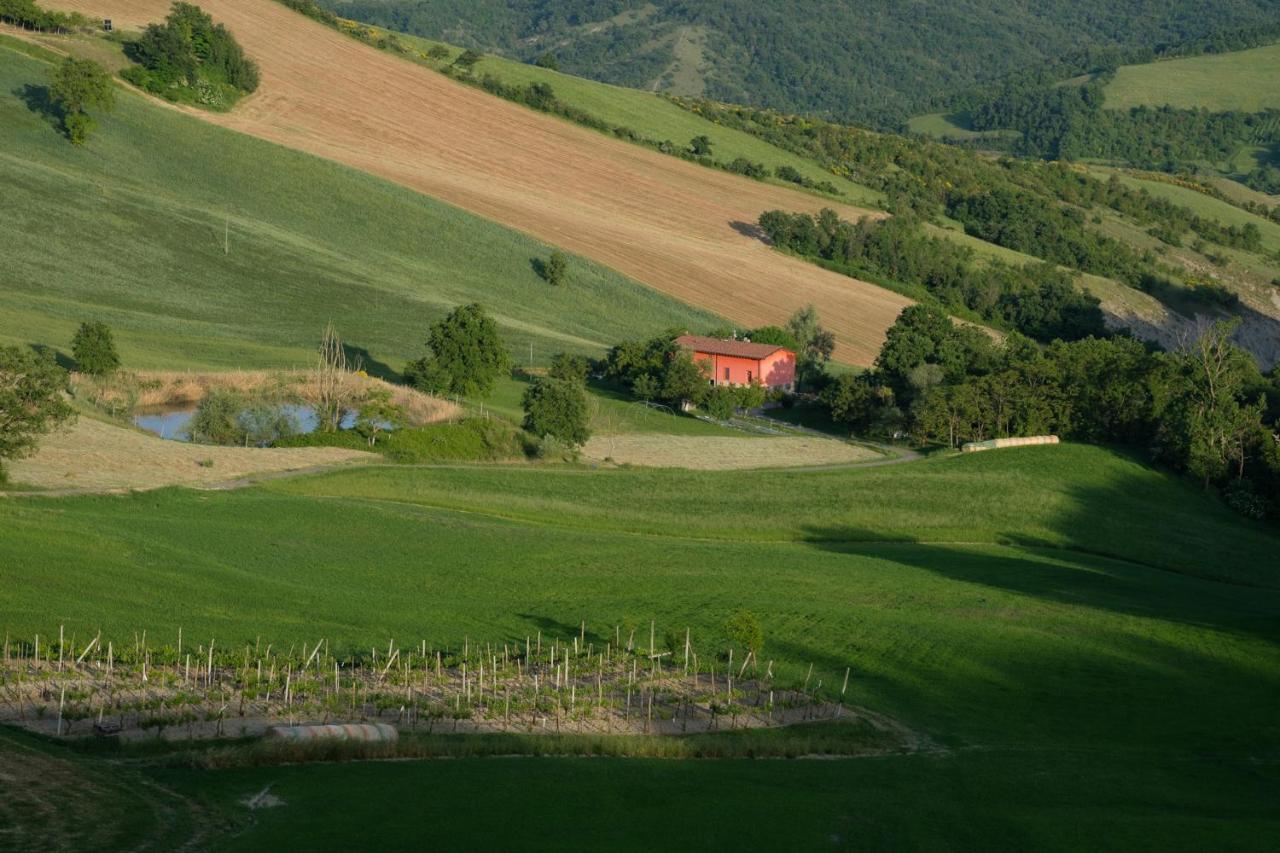 Al Sasseto B&B Montagnana  Bagian luar foto